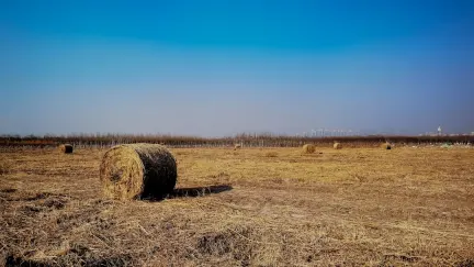 Casino Slot Shack Mobil App